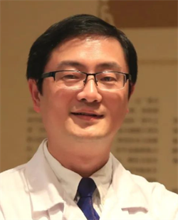 高宏