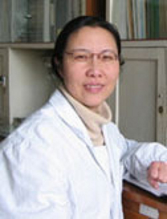 于学文