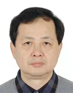 何平