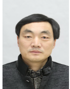 李树河
