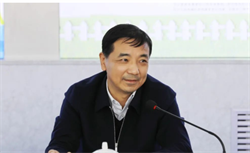 马卫平