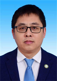 高振