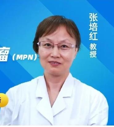 张培红