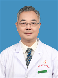 段传新