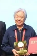 张月娥