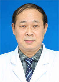 郑宇