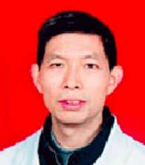 杨春