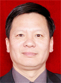 王贺伟