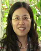 李绯