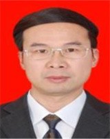 段新云