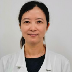 王晓华