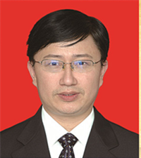 王友强