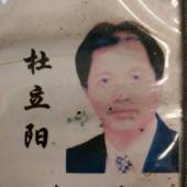 杜立阳