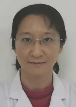 曹磊