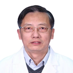 高磊
