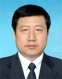 苏振武