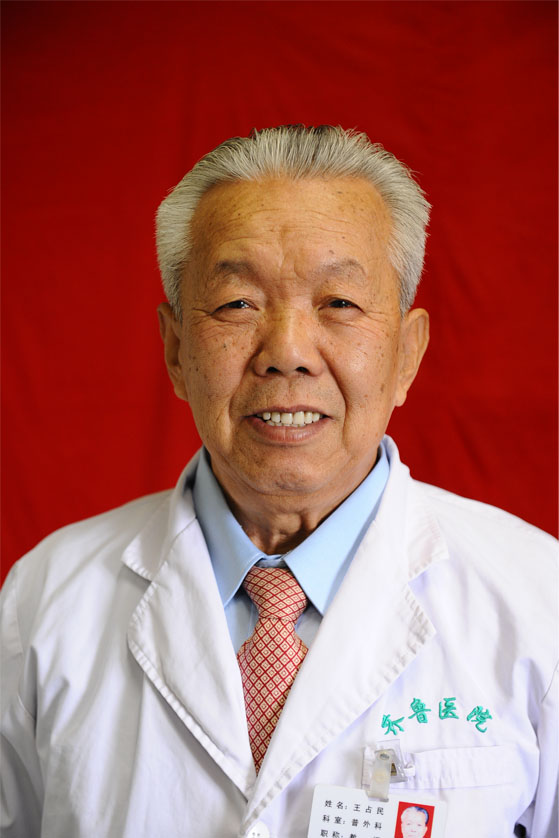 王占民
