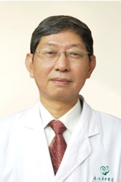陈甲模