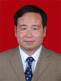 蔡华