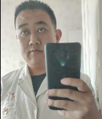 杜晨
