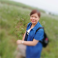 秦月花