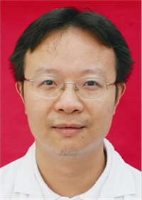罗晓鸿