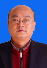 周天彤