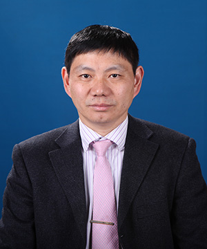 陈新龙