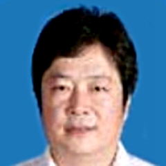 崔龙