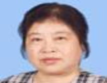 张金溪