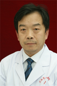 张鼎宏