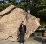 邰智慧