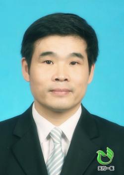 杨小华