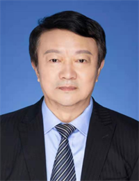 王毅平