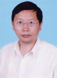 沈进