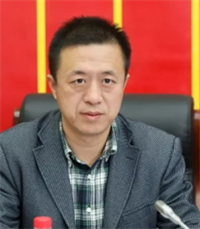 段云飞