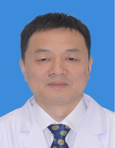 韩振华