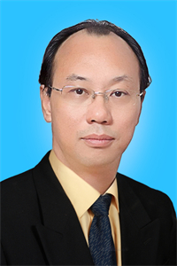 付维利