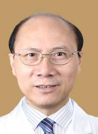 陈力