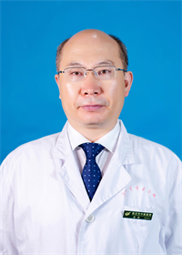 高智