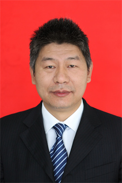 陆雷