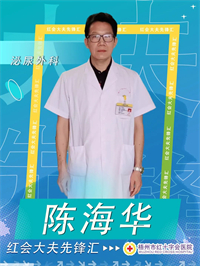 陈海华