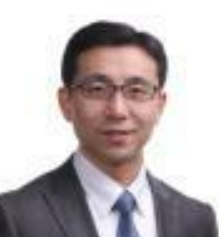 陶乐维