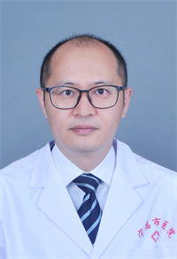 李树奇