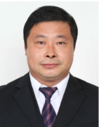 于树波