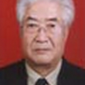 闻振华