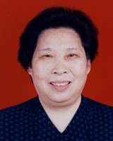 何春娜