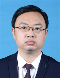 毛树文