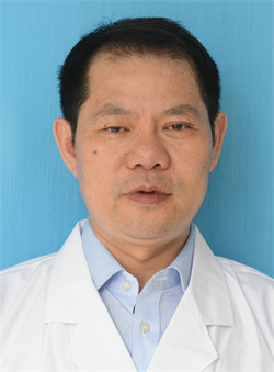 陈晓梨