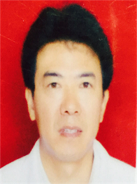 陈力量